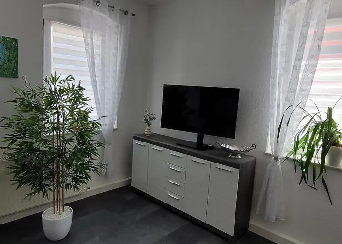 Wohlfuehl-apartment In Zwickau